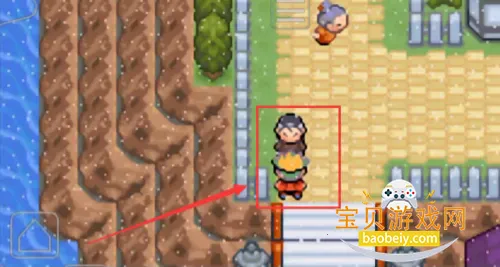 �ڴ��������뱦������