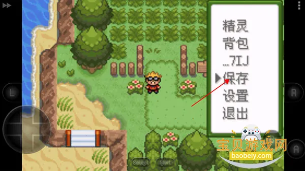 �ڴ��������뱦������