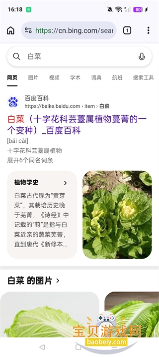 Cromite��������°�׿��145.0.7632.120 ���°��ͼ1.