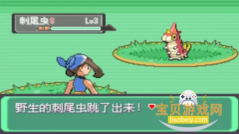 �ڴ����ְ�֮����