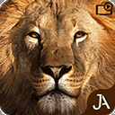 ����������Ϸ��׿�ֻ���v21.5.2 �ٷ�����