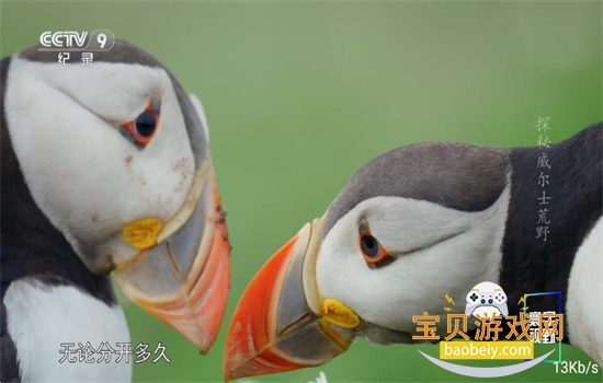 ����TVӰ���������عٷ������ͼ6