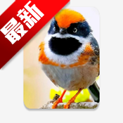 С��Ϻֱ��TV��app��׿�������v1.3.3 ��׿��