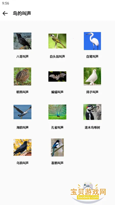 ����Ƶ����app���°�v2026.04.11 �ٷ������ͼ5.