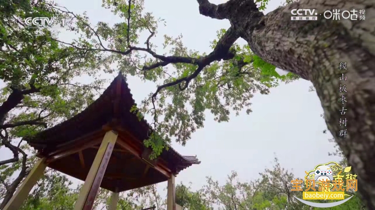 �°����ĵ���ֱ��app���°�v1.0.1��׿���ͼ2.