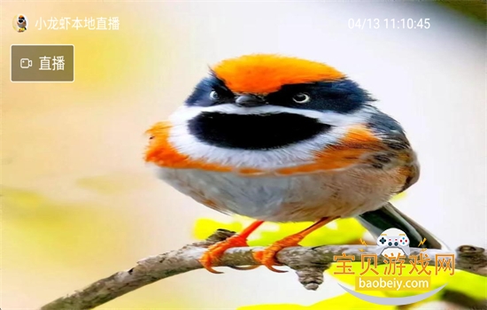 С��Ϻֱ��TV��app��׿�������v1.3.3 ��׿���ͼ0.