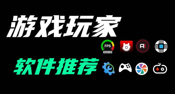 ���ʽ�������