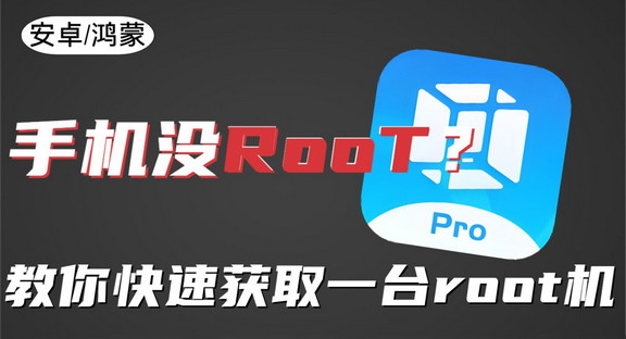 ���ʽ�������