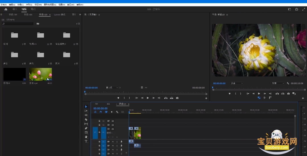Adobe Premiere Pro2026������Ѱ��ͼ3