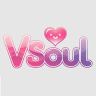 vsoul������ذ�װ���°�2.0.6 ��׿��