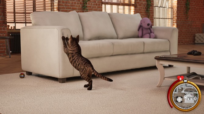 Сè����ģ����(Kitten Life Simulator) �淨����