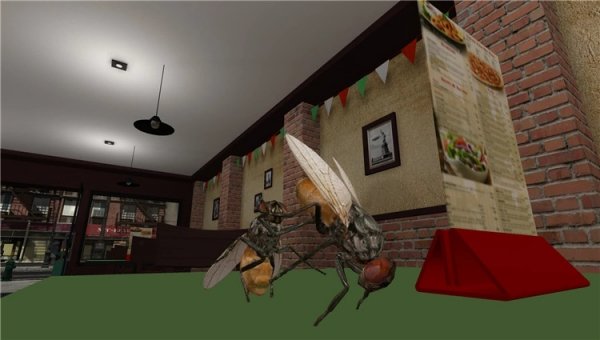 ��Ӭģ����Fly Simulator���԰����İ�