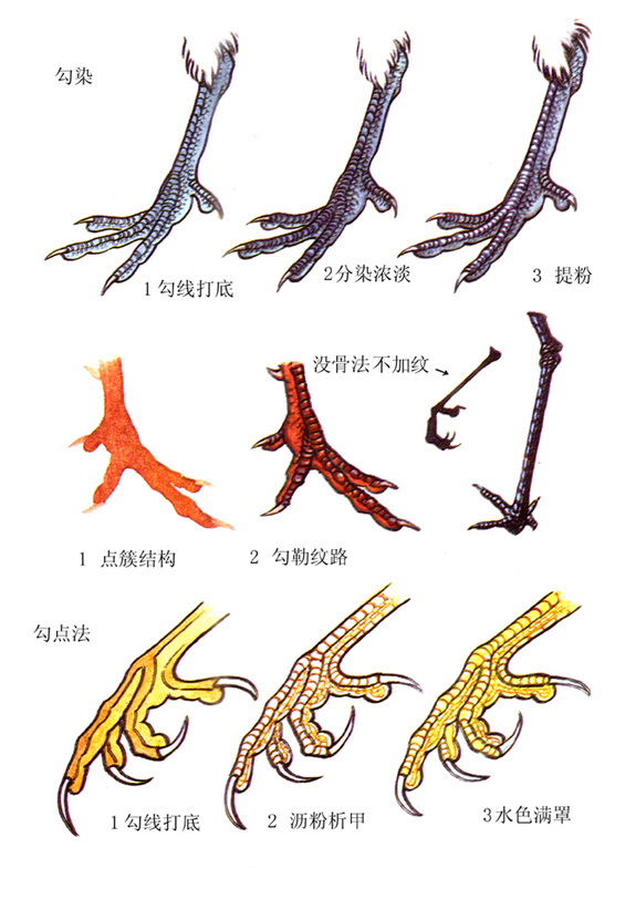 鸟爪与鸟羽2 配置要求 电脑