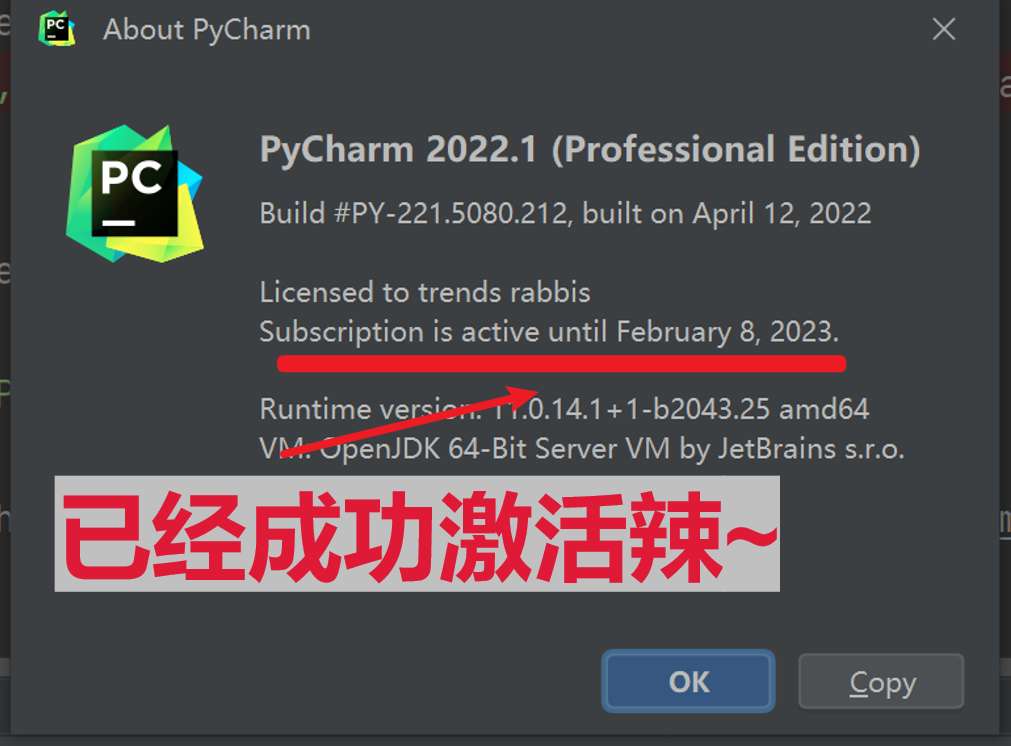 JetBrains PyCharm 2024���ļ���� �����װ