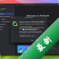 JetBrains PyCharm 2024���ļ����2024.2.3���°�
