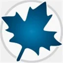 Maplesoft Maple 2026���ļ����2026ֱװ��