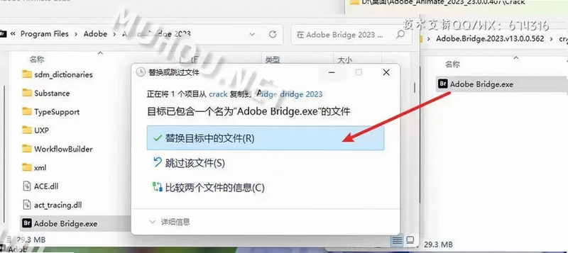 Adobe Bridge 2023���ļ�����ͼ3