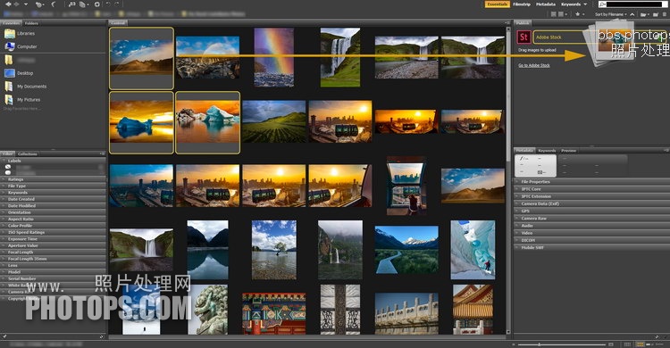 Adobe Bridge 2023���ļ���� ��PhotoshopЭ������������