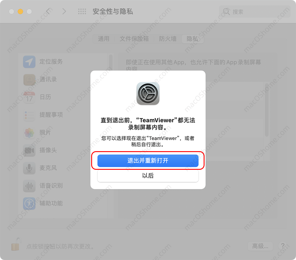 TeamViewer��ȫ������˽����