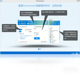 TeamViewer���԰����ؽ�ͼ1