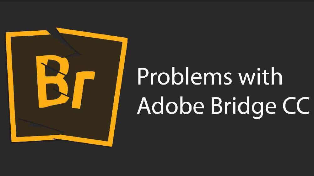 Adobe Bridge 2024���İ�(�������) ��Դ���� ����