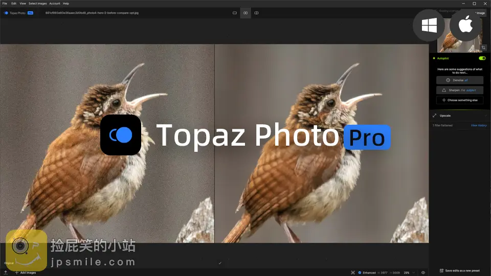 Topaz Photo Pro(AI图片处理工具) 功能介绍 软件界面