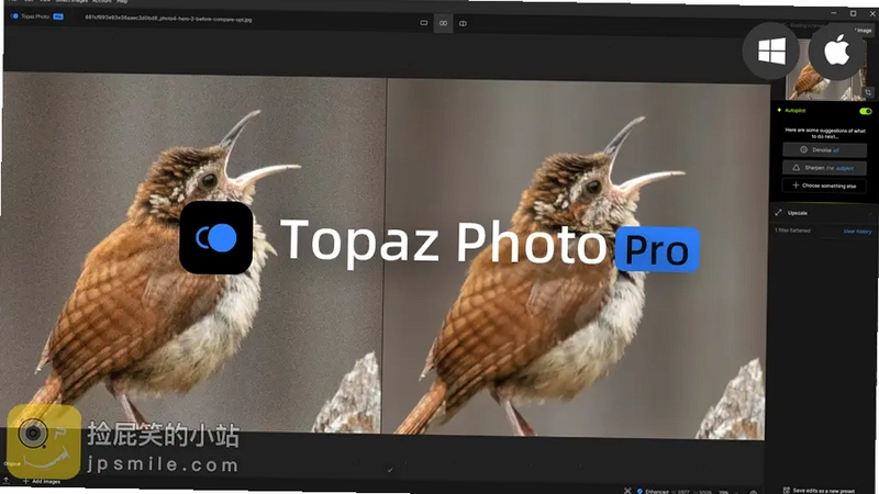 Topaz Photo ProAIͼƬ������������v1.0ֱװ�����н�ͼ