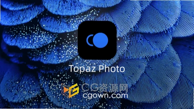 Topaz Photo ProAIͼƬ������������v1.0ֱװ�����н�ͼ