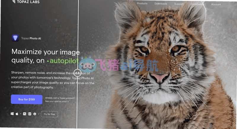 Topaz Photo ProAIͼƬ������������v1.0ֱװ�����н�ͼ