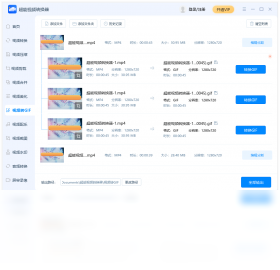 ������Ƶת���� ֧�ָ�ʽ ����