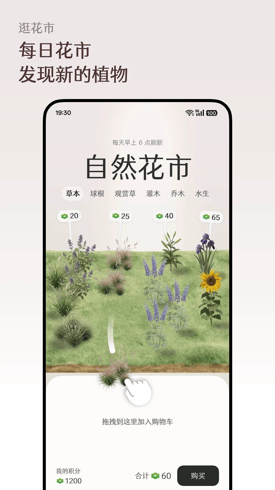����Floravale1.0.9 �ٷ������н�ͼ