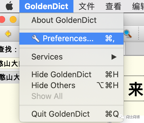 GoldenDict ���� ѡ��