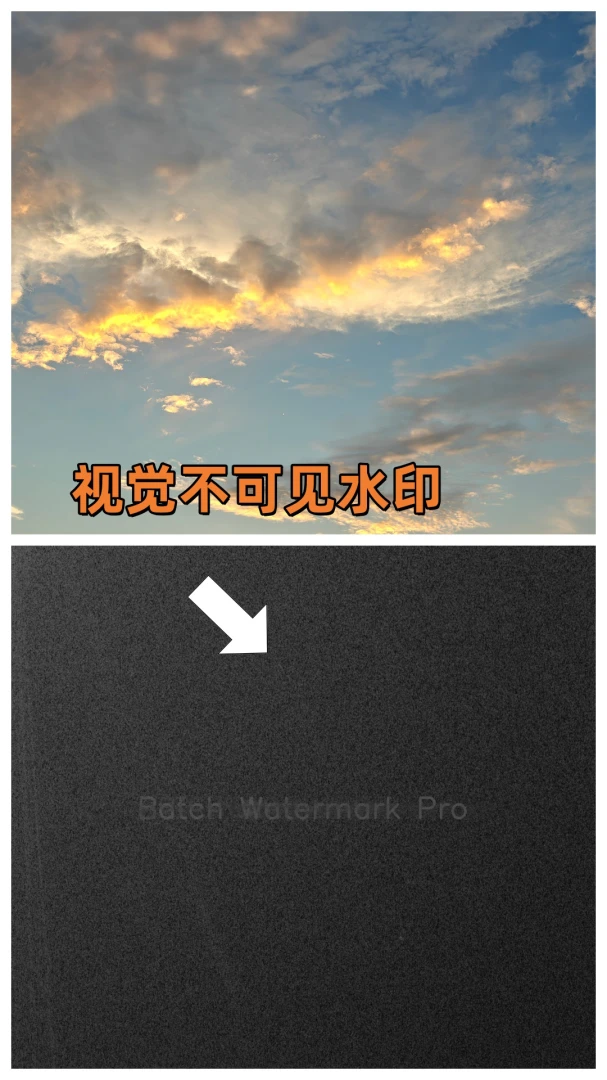 ����ˮӡPro-��ͼƬ��Ƶ��ˮӡ��ͼ4