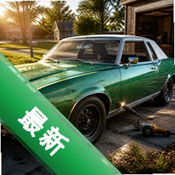 ��������ģ����300.1.0 �ٷ���