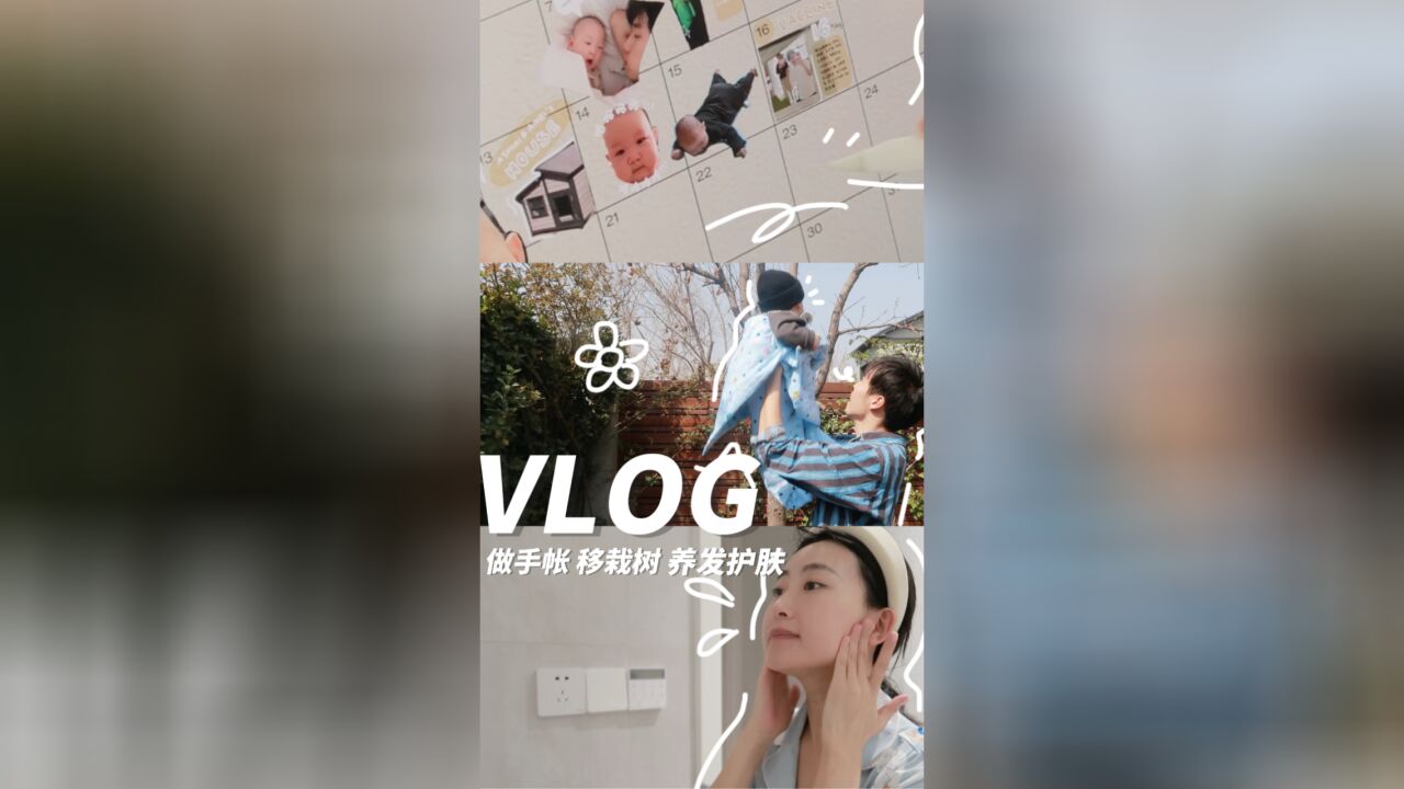 logus �����¼ ����Ƶ 2��Vlog ���ɵ���