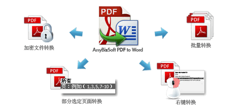 AnyBizSoft PDF to Word ����ת������