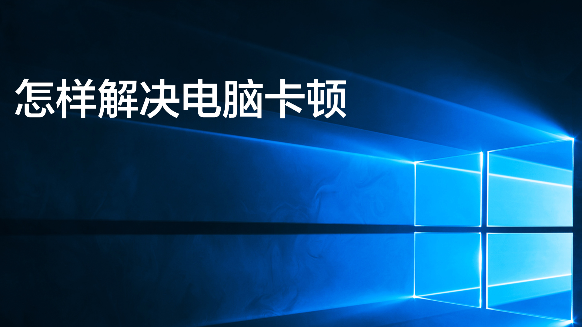 �鵥��Ƶ���� ���� �������
