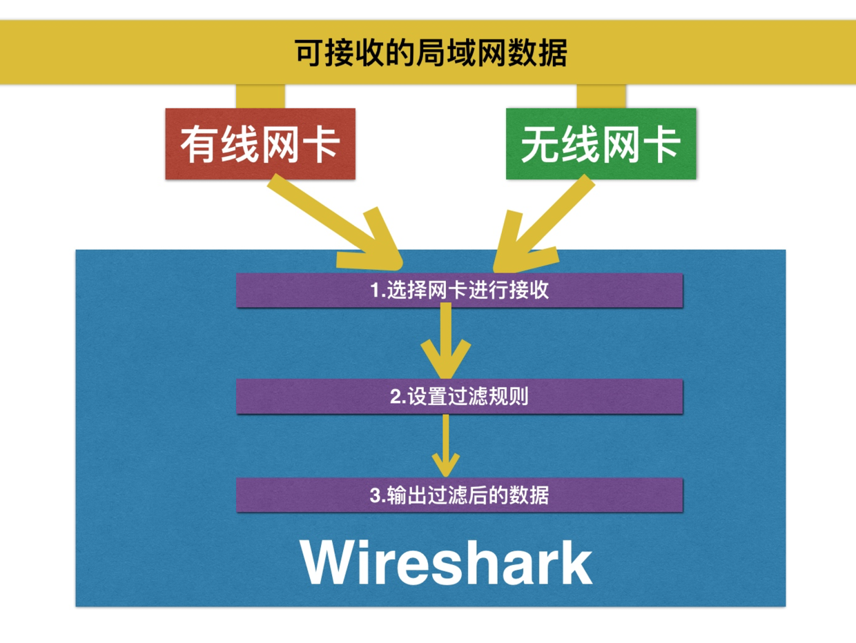 Wireshark 抓包原理示意