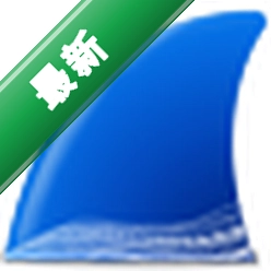 Wireshark4.4.2 ����ץ������