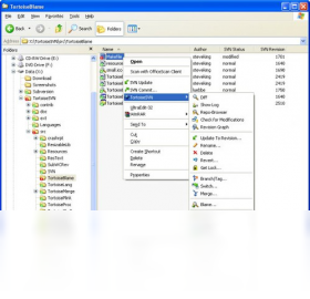 TortoiseSVNv1.14.6 �汾���ƹ������н�ͼ