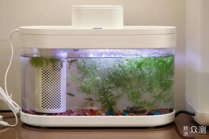 Dream Aquarium ����ιʳ ģʽ ʹ�÷���