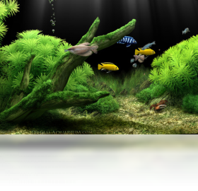 Dream Aquarium1.25 ��̬ˮ�����������н�ͼ