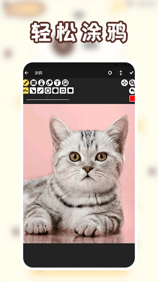 ΢-��˫����ͼ3