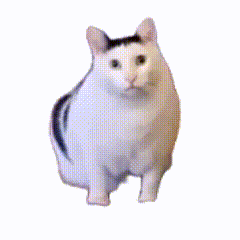 ����è����� ��̬ͼ ��Ц][[FIND:����è����� ʹ�ý̳�