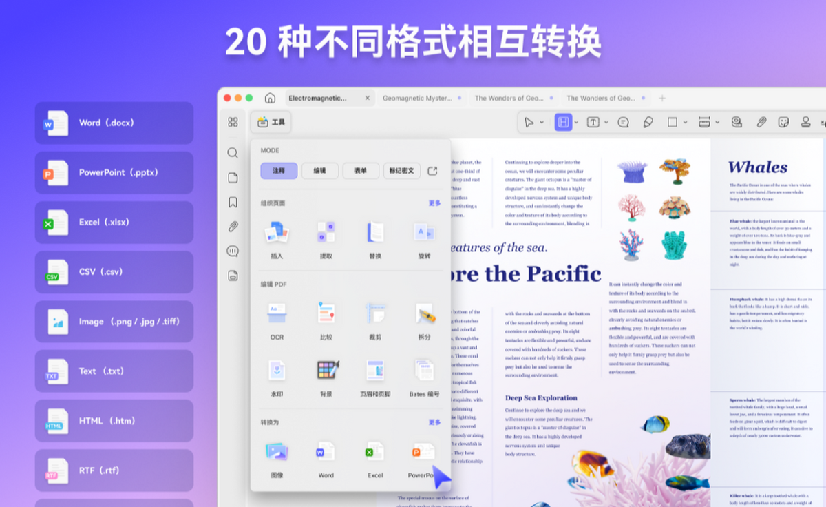�ſ�PDF�Ķ��� �Ķ����� ����չʾ