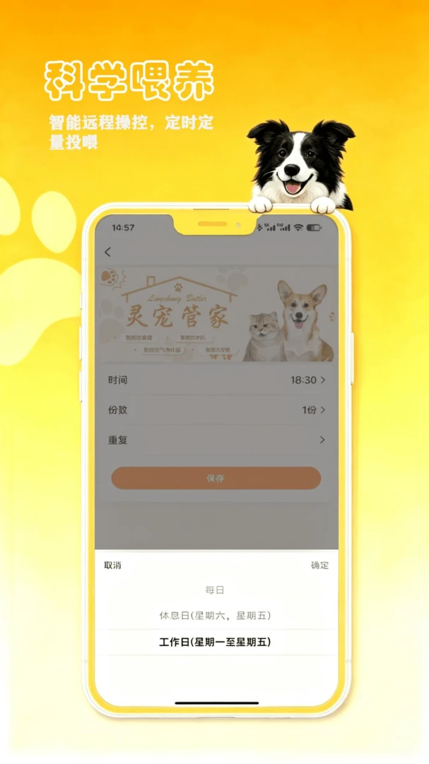 petCompanionR-���ܼҽ�ͼ3