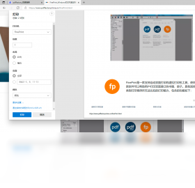 FinePrint11.42 �����ӡ�����н�ͼ