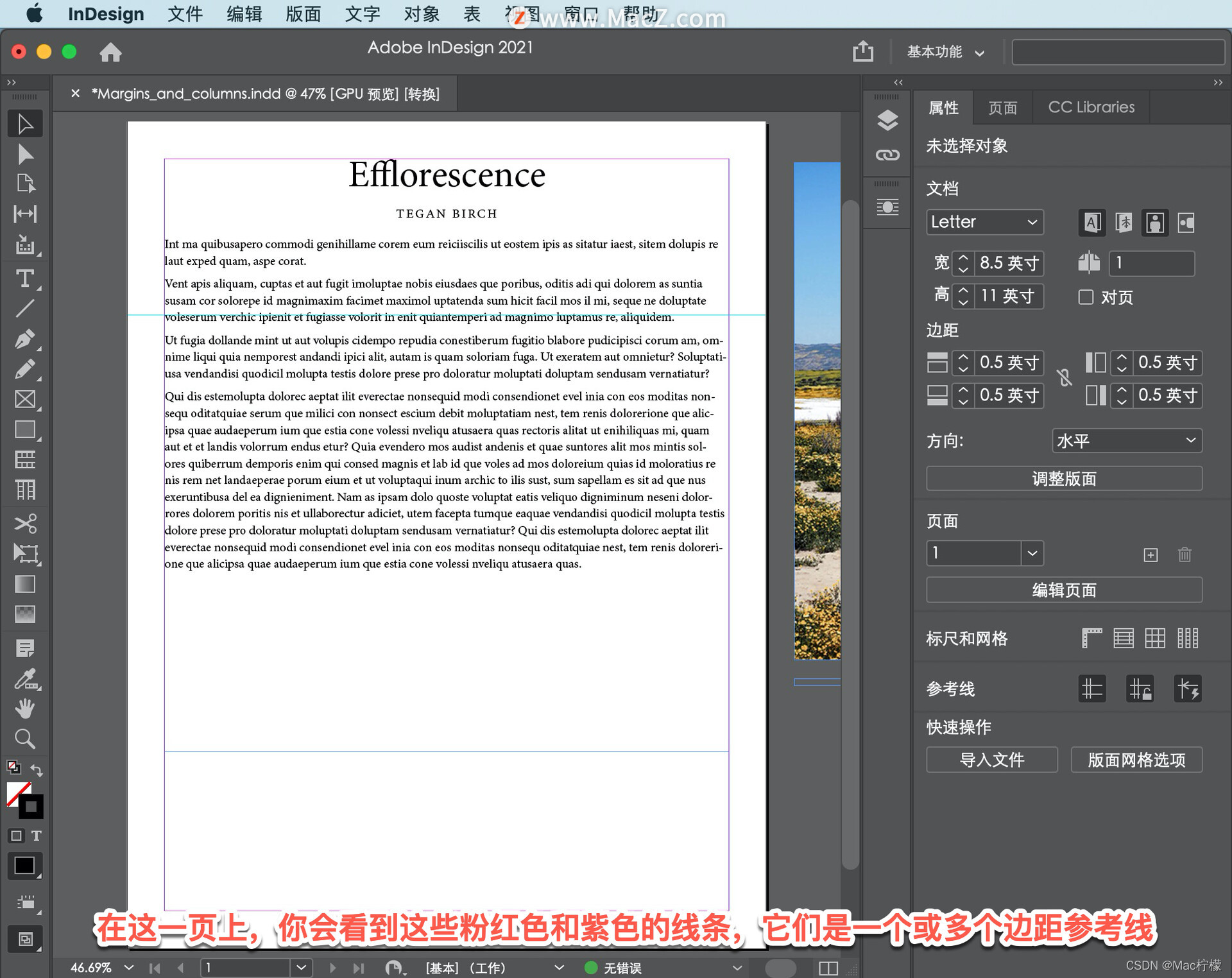 Adobe InDesign CS5 �½��ĵ� ���� ҳ�� �߾�
