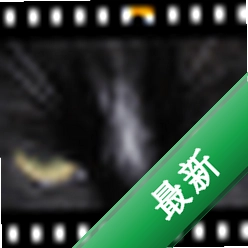 PhotoFilmStrip3.12.0 �õ�Ƭ����