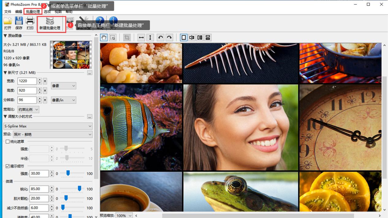 PhotoZoom Pro 使用教程步骤图解